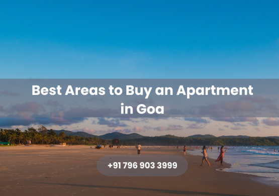 Areas to Buy an Apartment in Goa