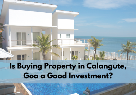 Is Buying Property in Calangute, Goa a Good Investment?