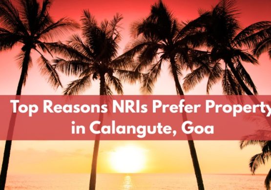 Top Reasons NRIs Prefer Property in Calangute, Goa